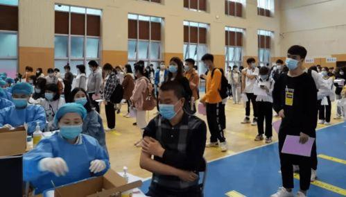 重庆小黄最新爆料消息,揭秘事件背后惊人真相  第3张